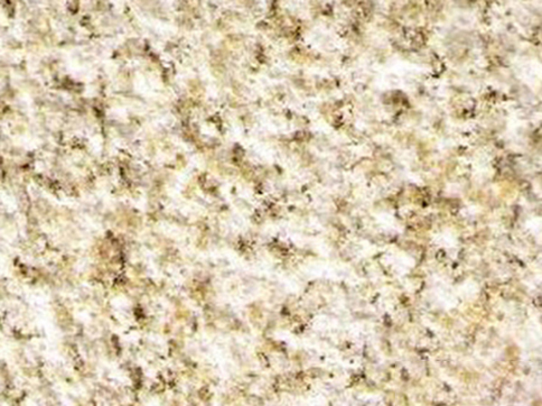 1-210P3163545b3.jpg