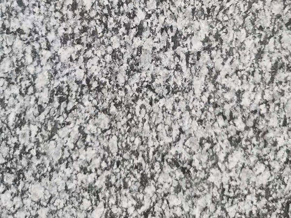 1660902553136577.jpg