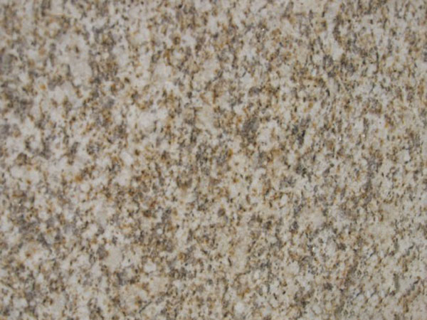 山东黄金麻为什么这么受欢迎？